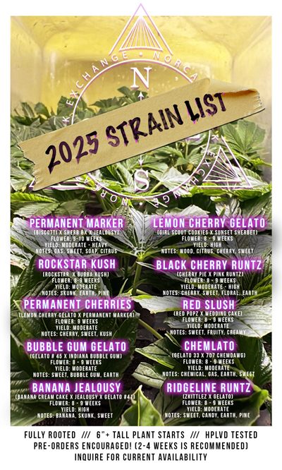 2025-STRAINLIST